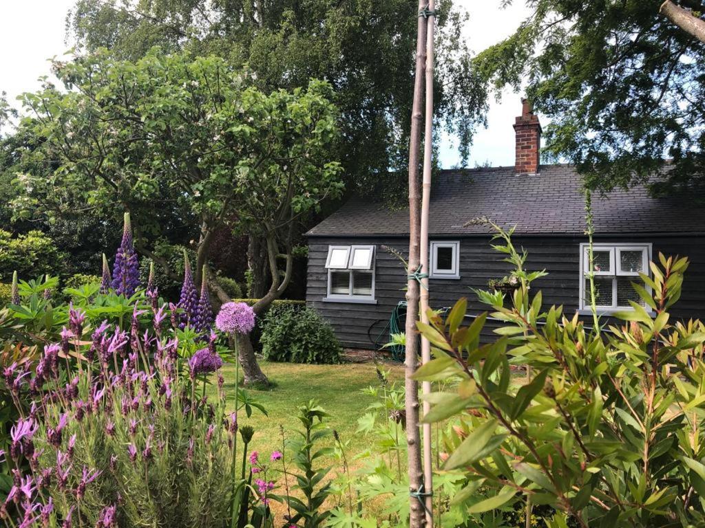 Thompsons Cottage Beverley Εξωτερικό φωτογραφία