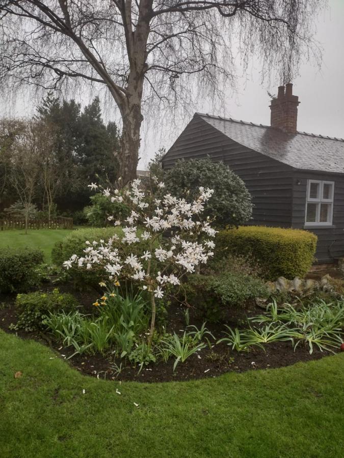 Thompsons Cottage Beverley Εξωτερικό φωτογραφία