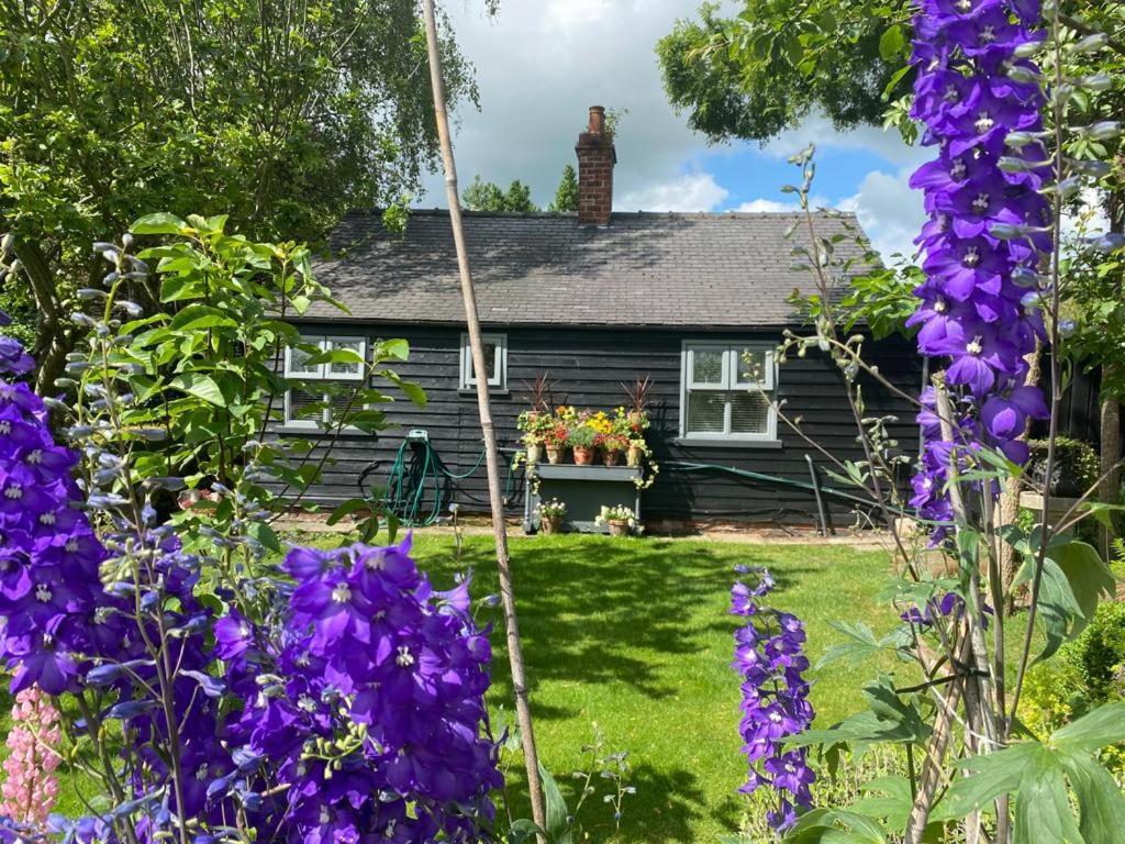 Thompsons Cottage Beverley Εξωτερικό φωτογραφία