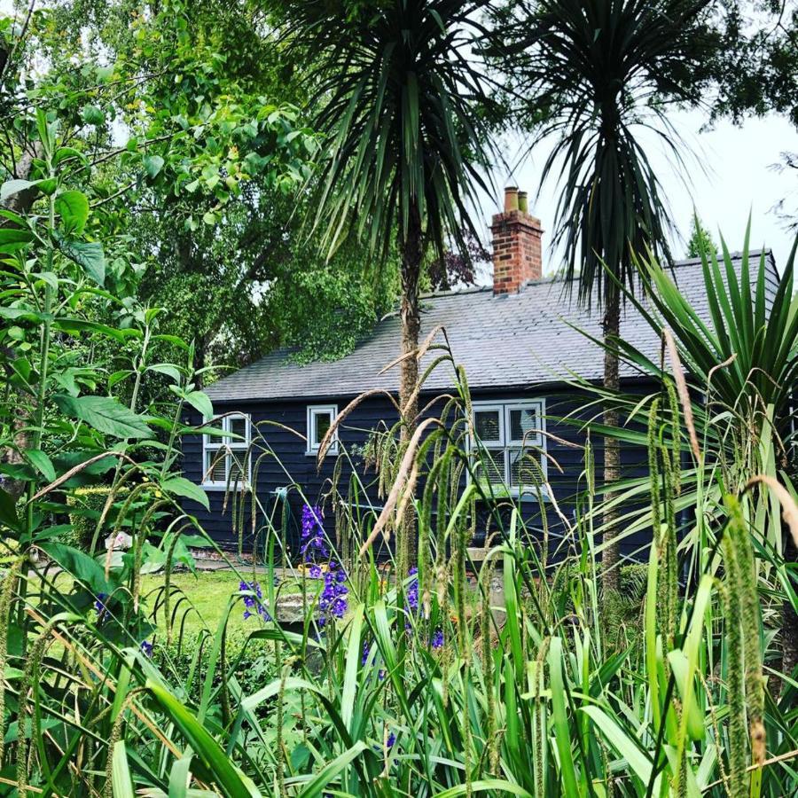 Thompsons Cottage Beverley Εξωτερικό φωτογραφία